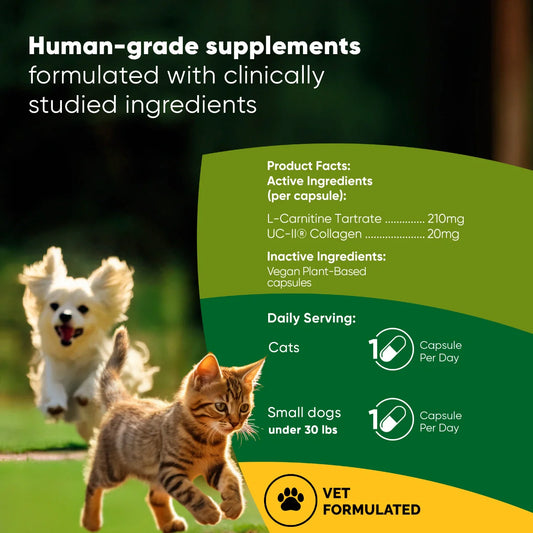 Joint & Muscle Health Daily Support Supplement for Active Lifestyle Wellness