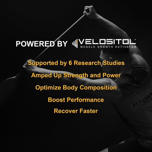 Plant Based Sport Protein Powder Vegan Performance Nutrition Supplement Blend