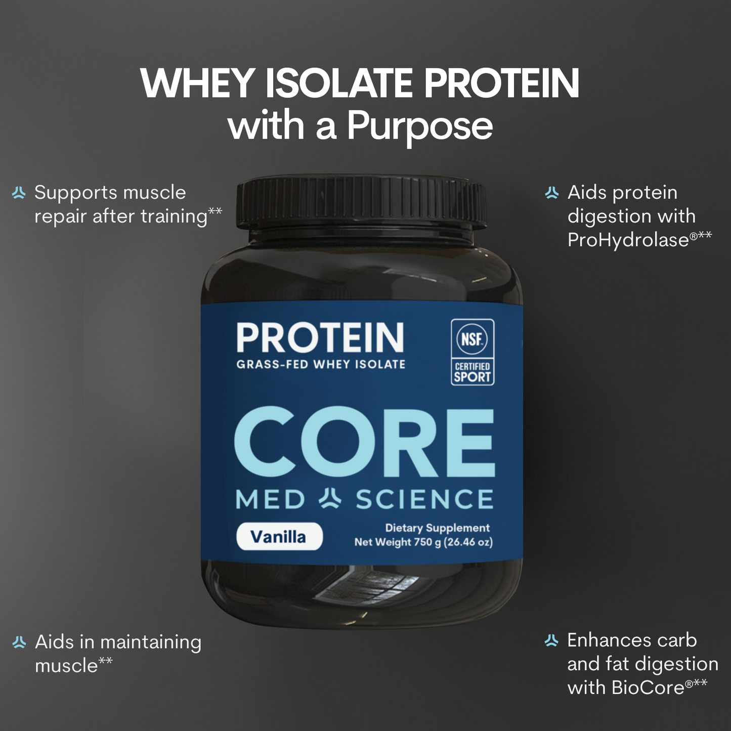Vanilla Whey Protein Powder Daily Nutrition Fitness Supplement Blend Formula