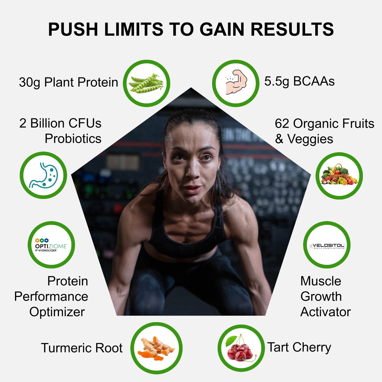Plant Based Sport Protein Powder Vegan Performance Nutrition Supplement Blend