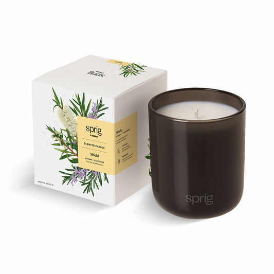 Sprig by Kohler Shield Aromatherapy Candle Tea Tree Rosemary 8oz