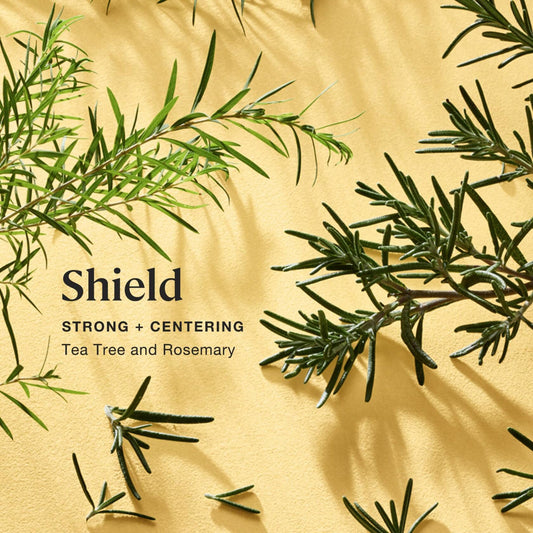 Sprig by Kohler Shield Aromatherapy Candle Tea Tree Rosemary 8oz